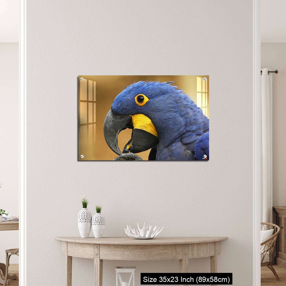 OMGs Acrylic Wall Decor – Hyacinth Macaw, anodorhynchus hyacinthinus, portrait of Adult with open Beak - Image 12