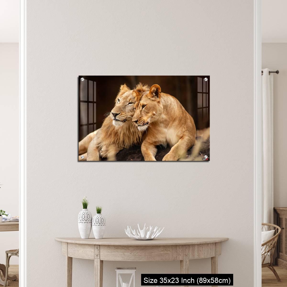 OMGs Acrylic Wall Decor – Male and Female Lions  lying down together on the ground - Image 12