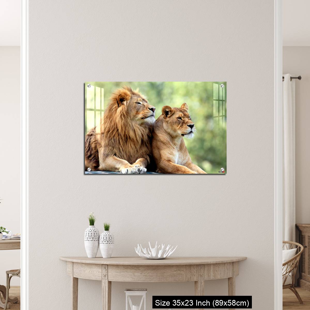 OMGs Acrylic Wall Decor – Pair of adult Lions in zoological garden - Image 12