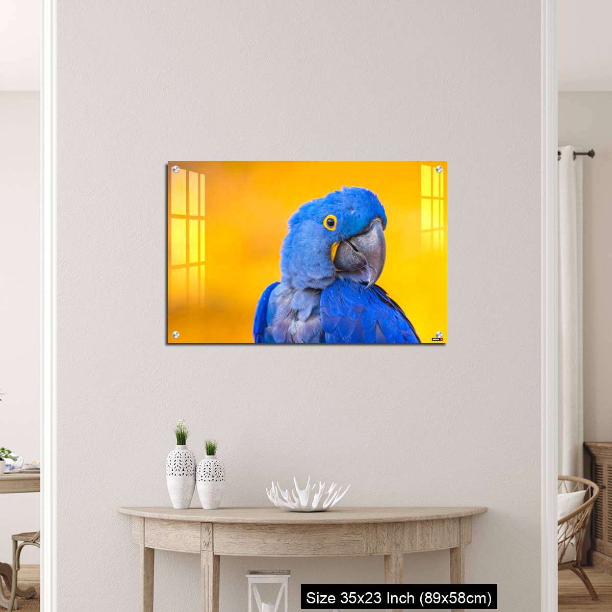 OMGs Acrylic Wall Decor – Portrait of big blue parrot Hyacinth Macaw - Image 12