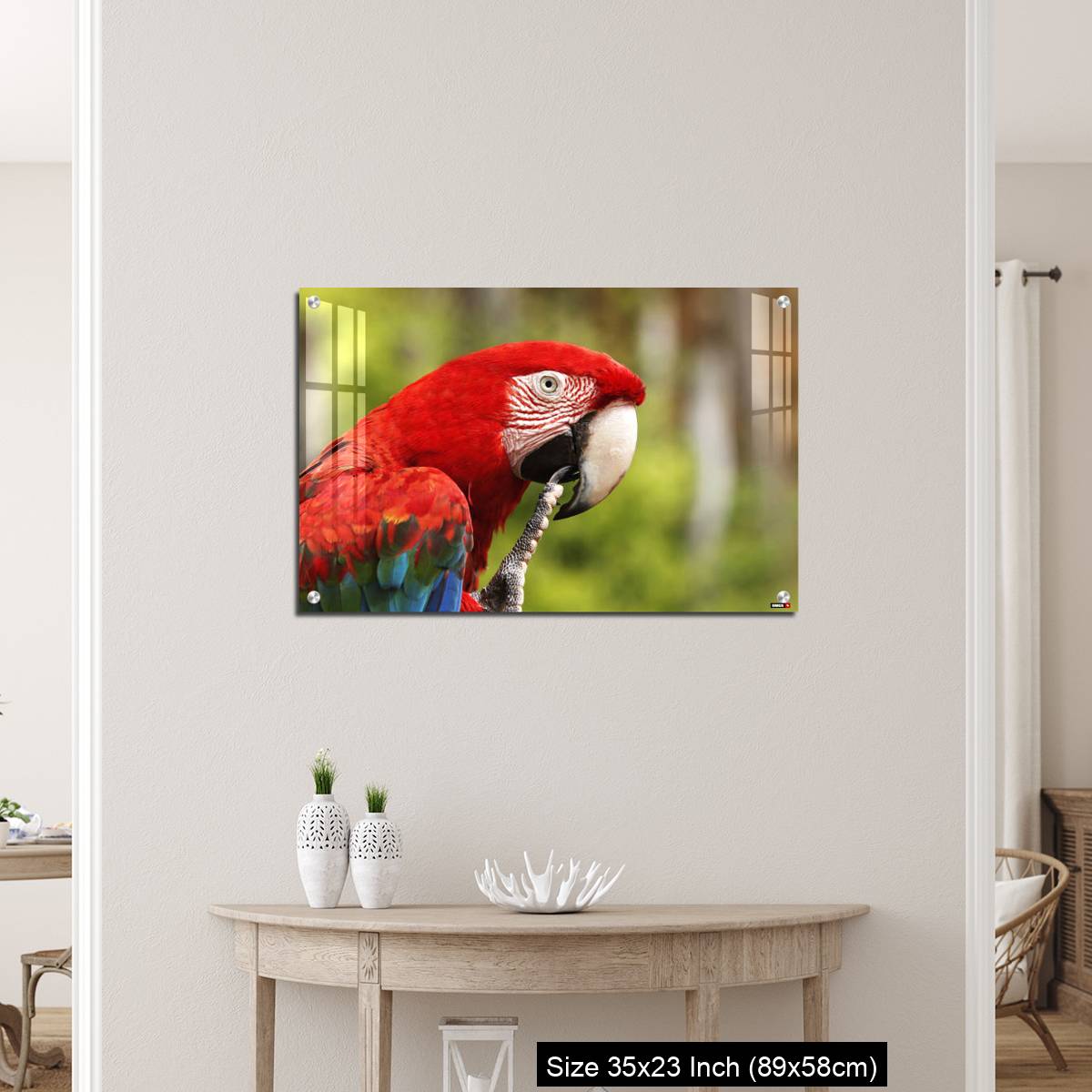 OMGs Acrylic Wall Decor – Red-and-Green Macaw, ara chloroptera, Portrait of Adult - Image 12