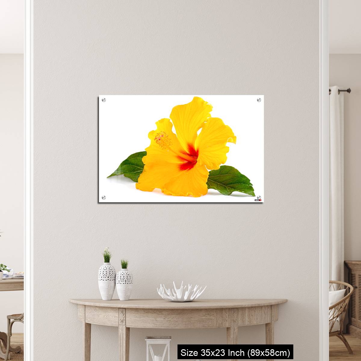 OMGs Acrylic Wall Decor – Tropical Yellow Hibiscus Flower isolated on white - Image 12