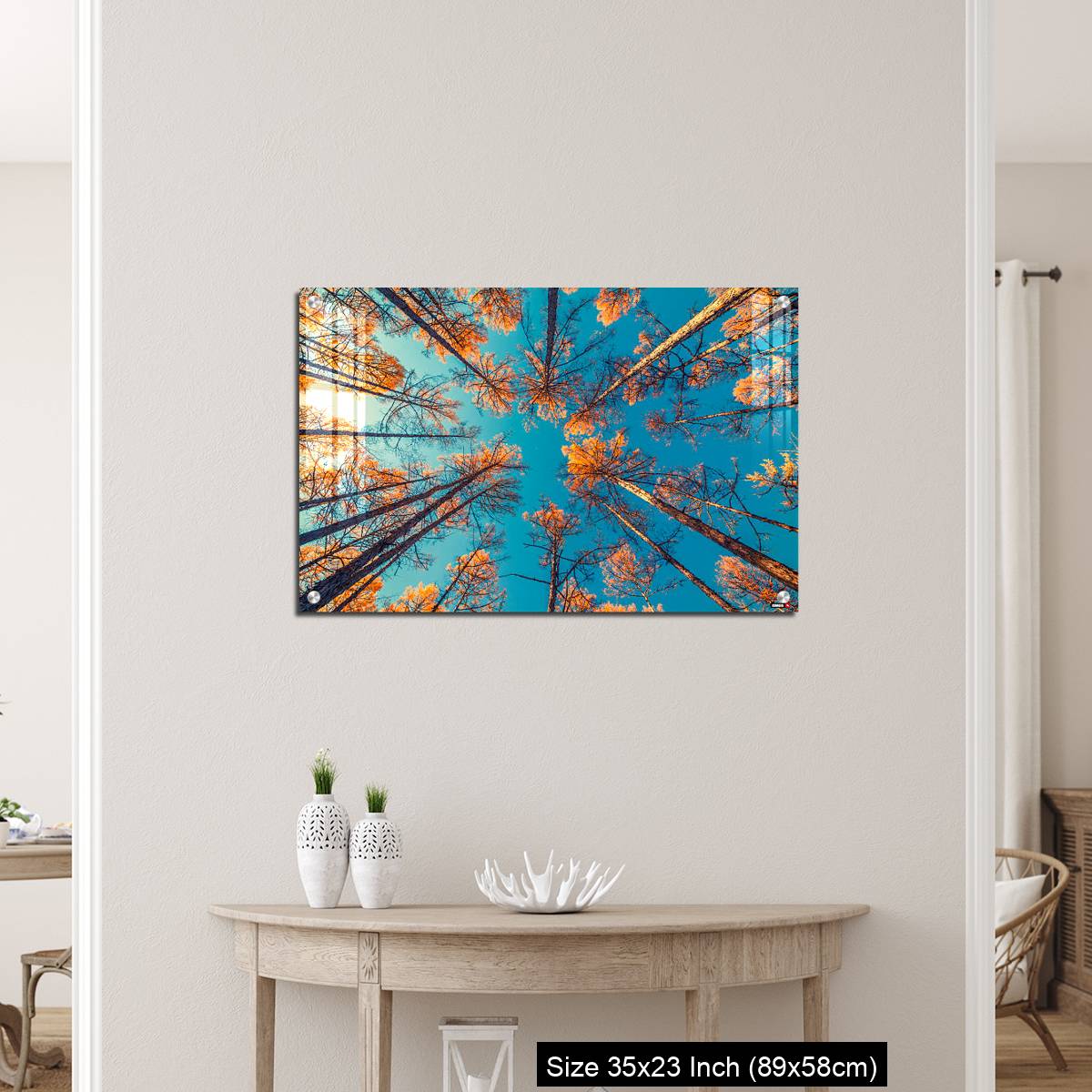 OMGs Acrylic Wall Decor – looking up at trees and clear blue sky - Image 12