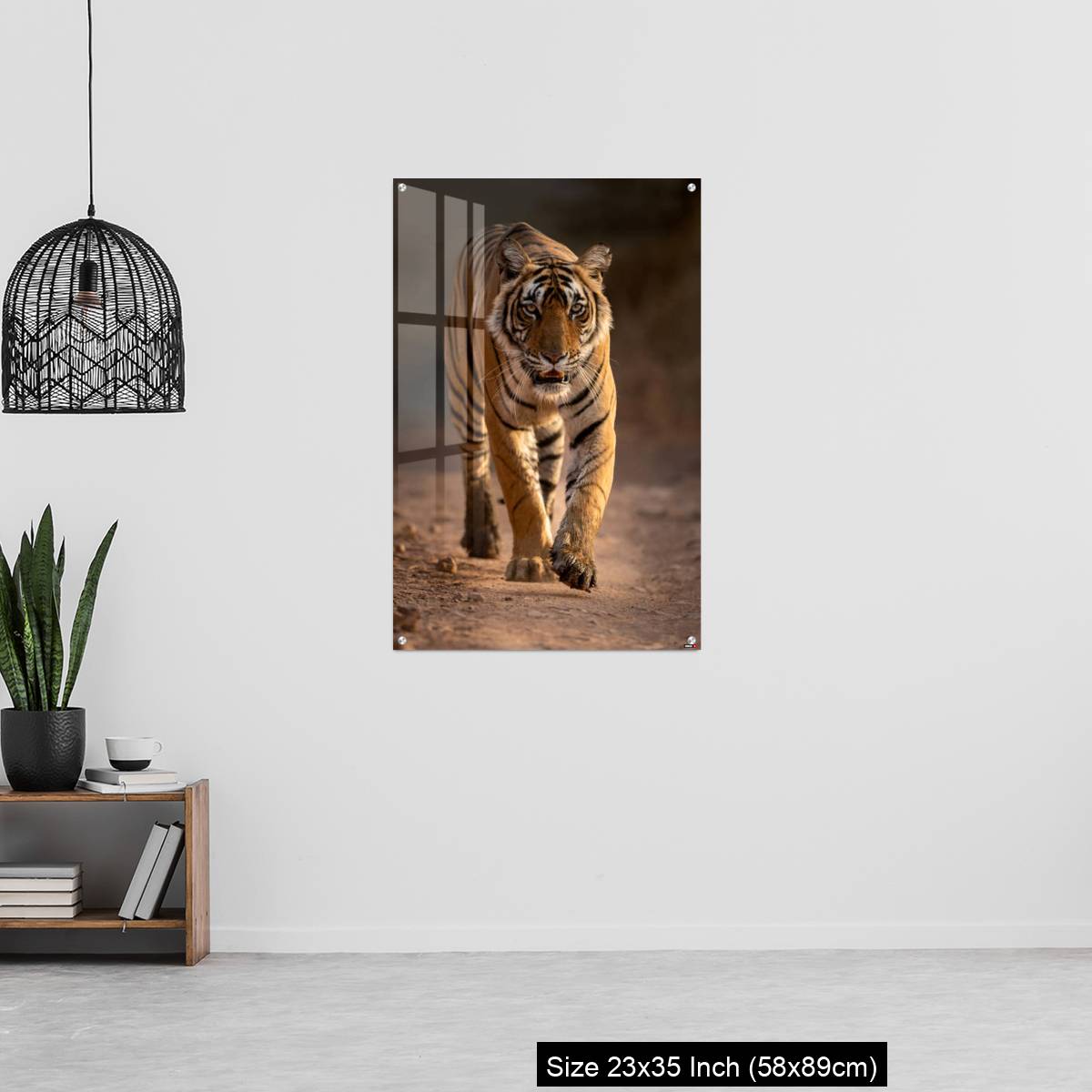 OMGs Acrylic Wall Decor – A young tigress walks - Image 13