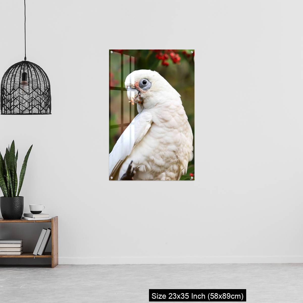 OMGs Acrylic Wall Decor – Close up of a Corella Feeding in a Tree - Image 13