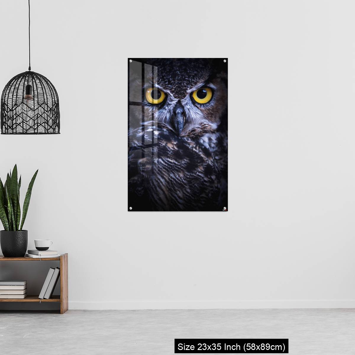 OMGs Acrylic Wall Decor – Intense Eye Contact from a Great-Horned Owl - Image 13