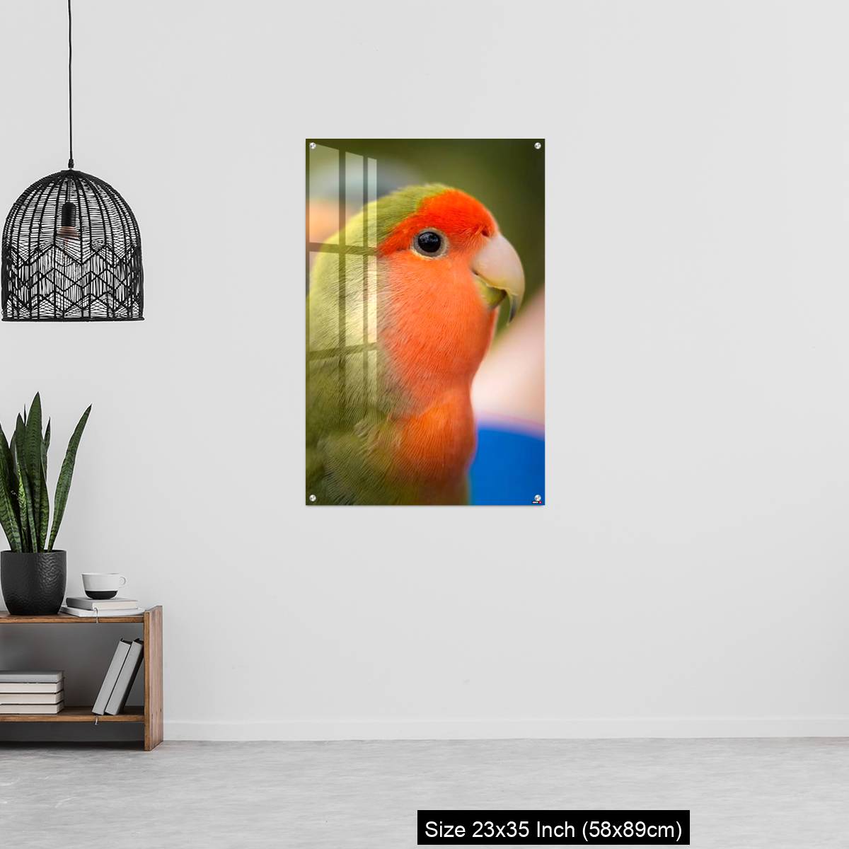 OMGs Acrylic Wall Decor – Vibrant rosy-faced lovebird - Image 13