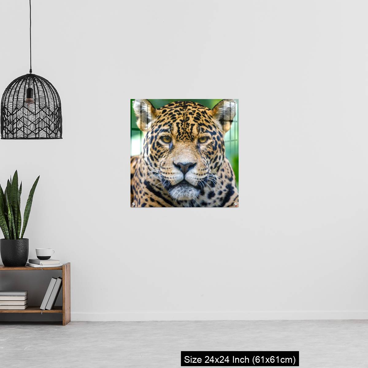 OMGs Acrylic Wall Decor – Jaguar looking at camera - Pantanal wetlands, Brazil - Image 13