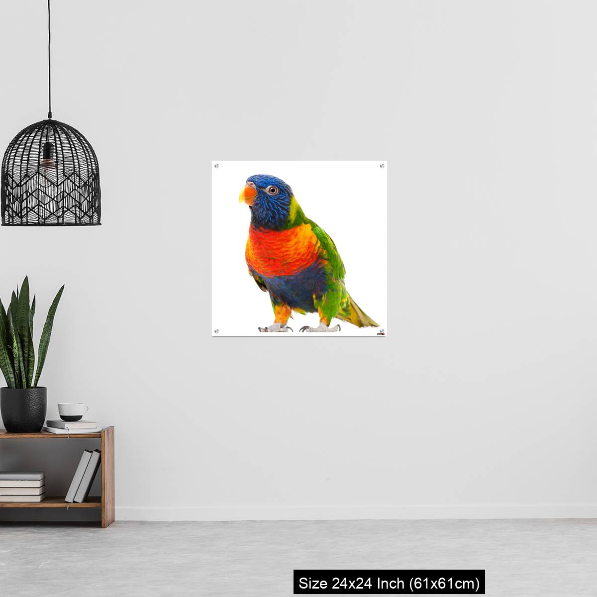 OMGs Acrylic Wall Decor – Rainbow Lorikeet, Trichoglossus haematodus - Image 13