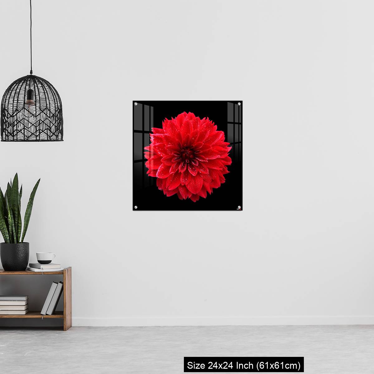 OMGs Acrylic Wall Decor – Red dahlia,like a ball of fire,on black background - Image 13