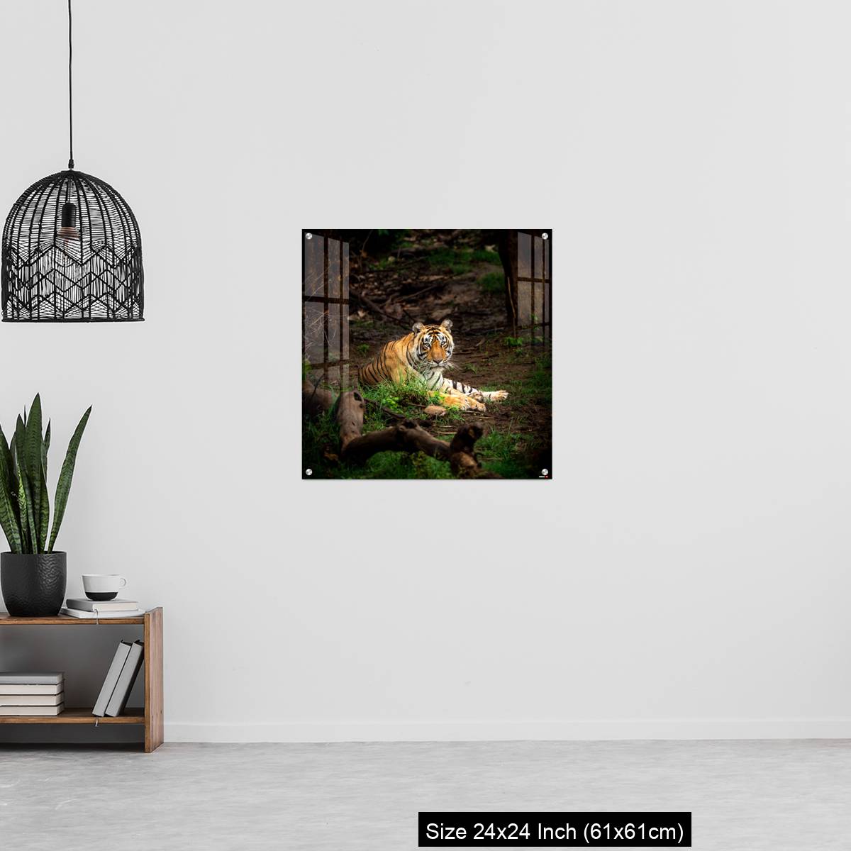 OMGs Acrylic Wall Decor – wild bengal male tiger - Image 13