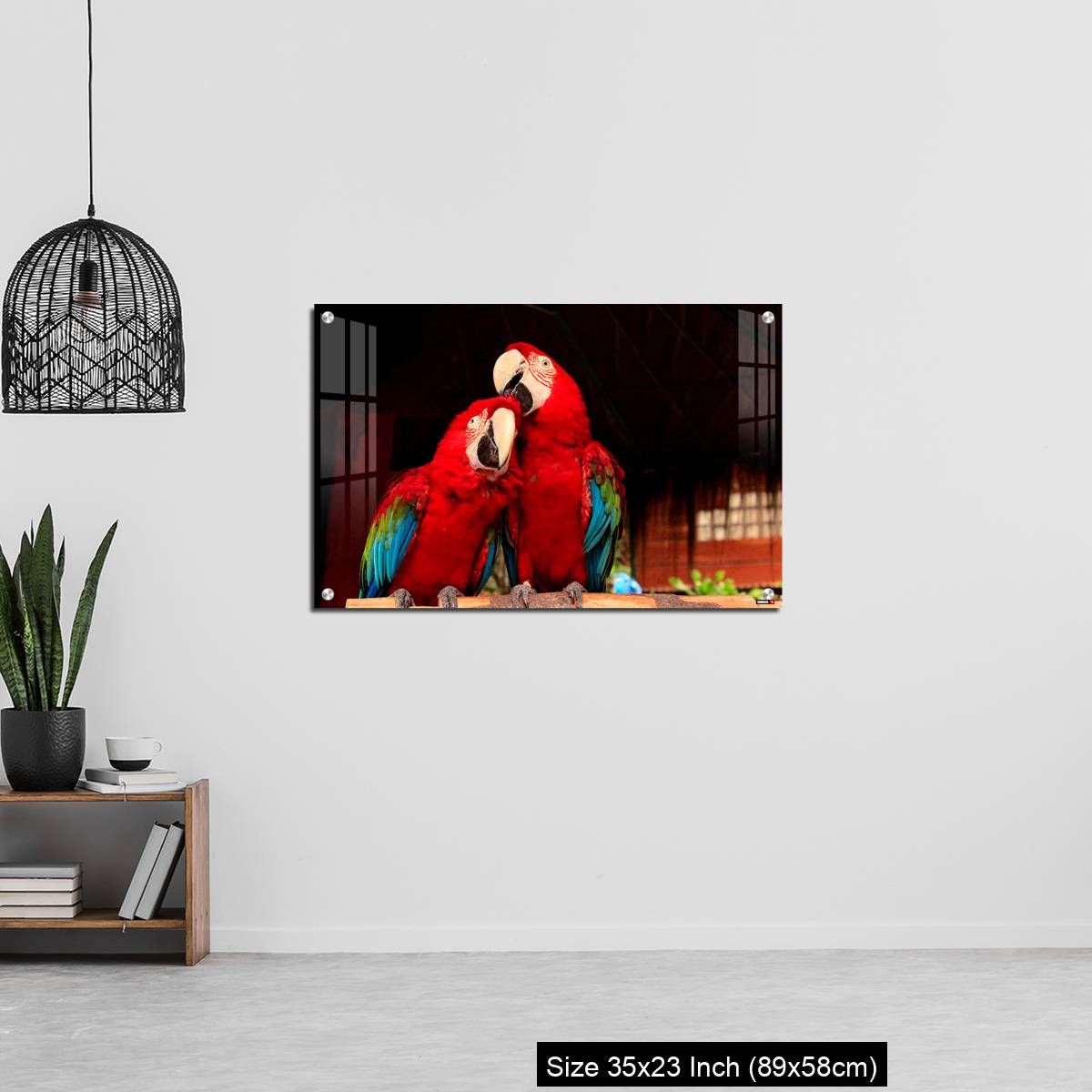 OMGs Acrylic Wall Decor – A  Macaw Bird Teasing His Friend’s Head - Image 13