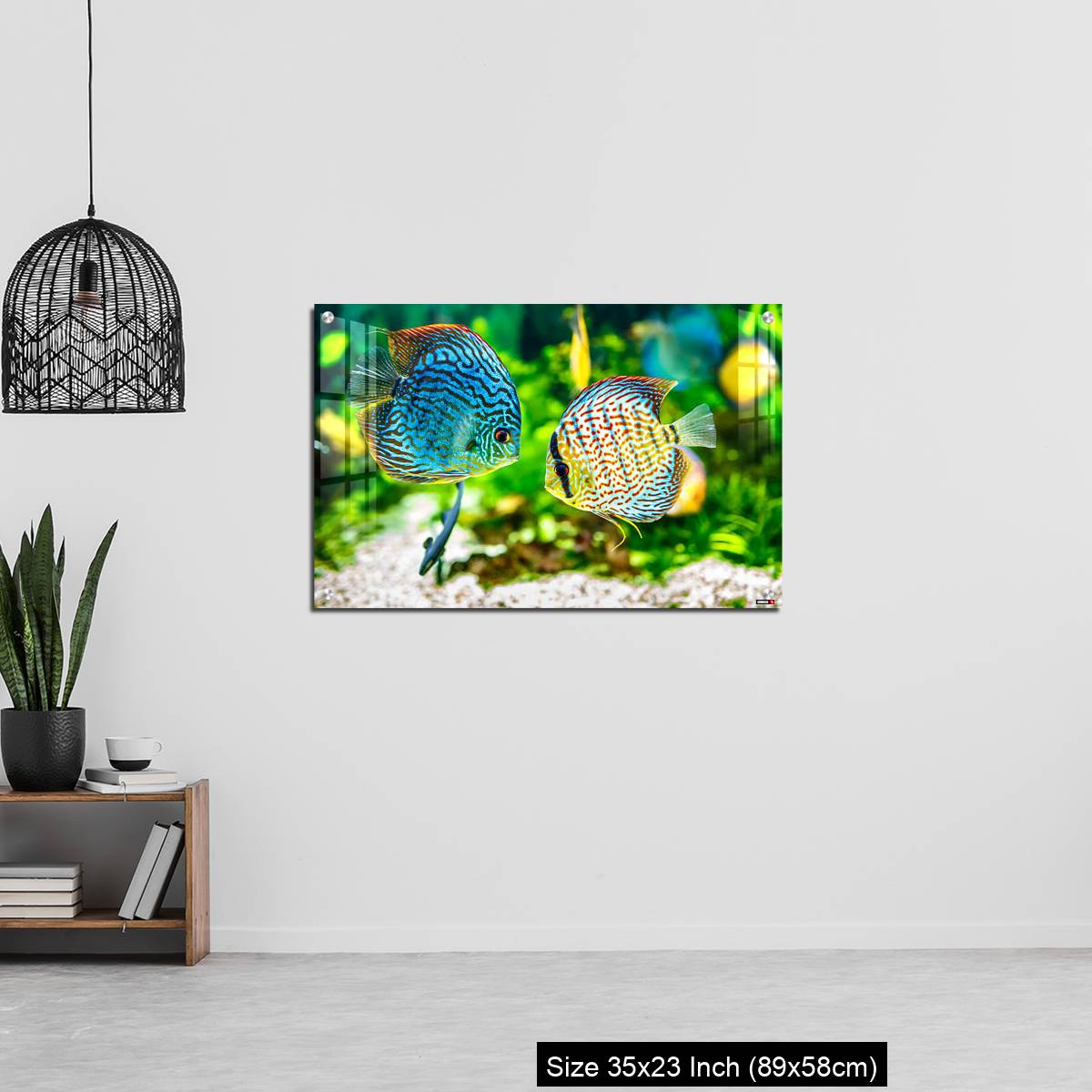 OMGs Acrylic Wall Decor – Aquarium displaying two tropical fish symphsodon discus - Image 13