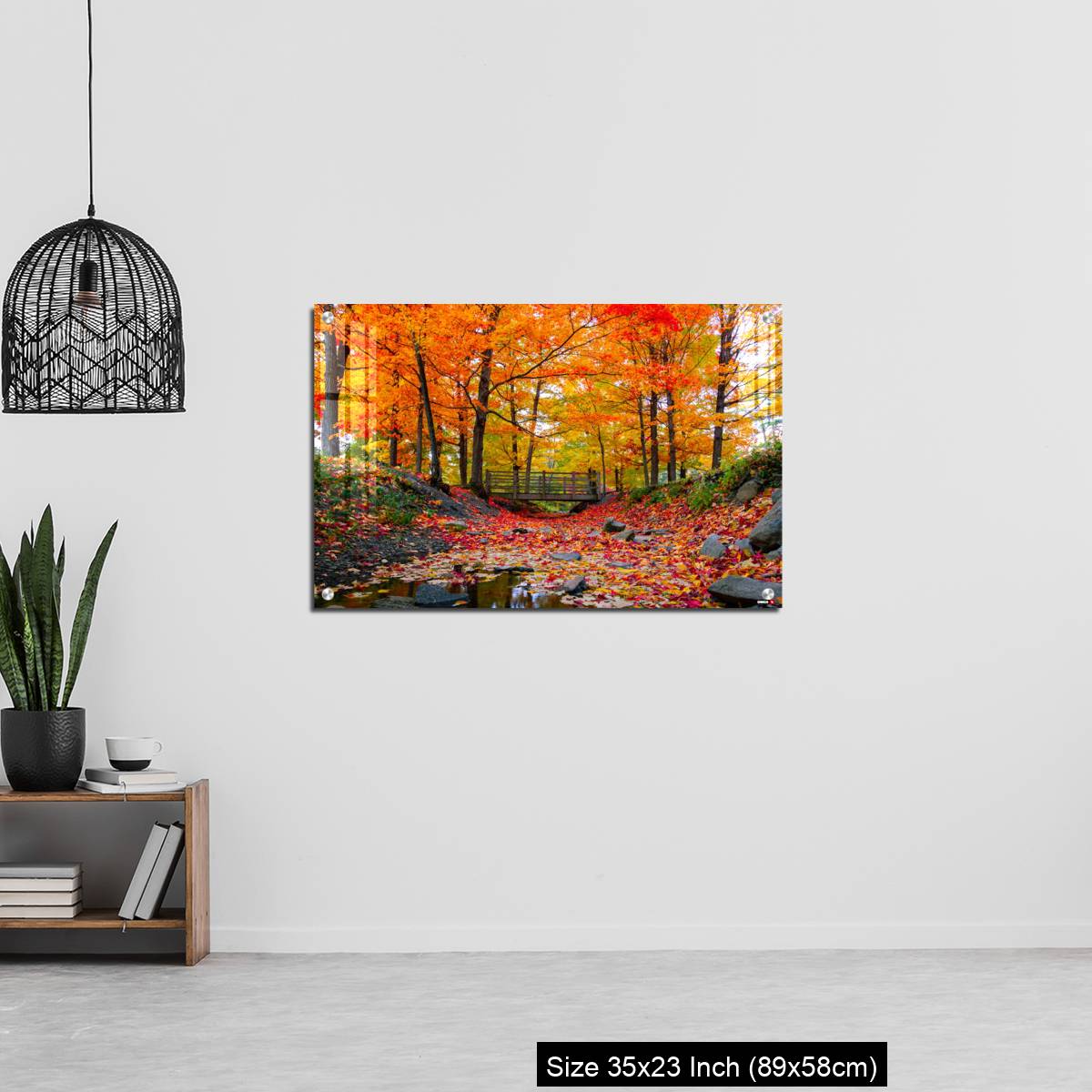 OMGs Acrylic Wall Decor – Beautiful fall foliage in the northeast USA - Image 13
