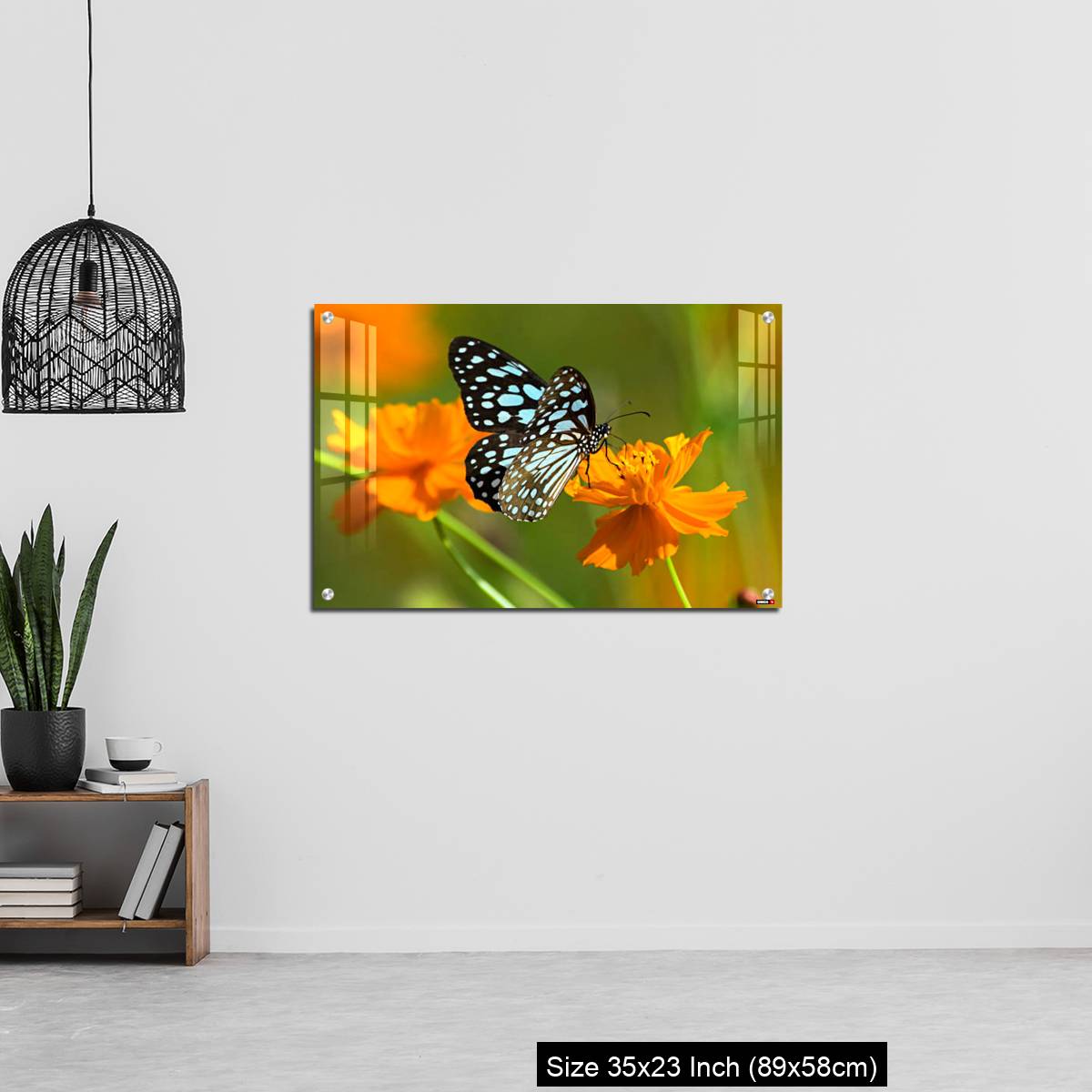 OMGs Acrylic Wall Decor – Blue tiger butterfly or Tirumala limniace on an orange flower - Image 13