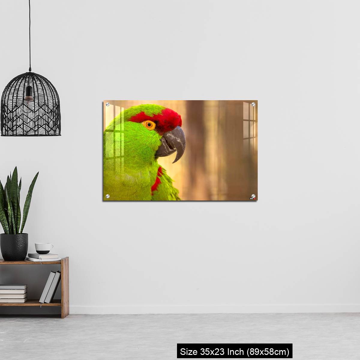 OMGs Acrylic Wall Decor – Close-up portrait of a thick billed parrot - Image 13