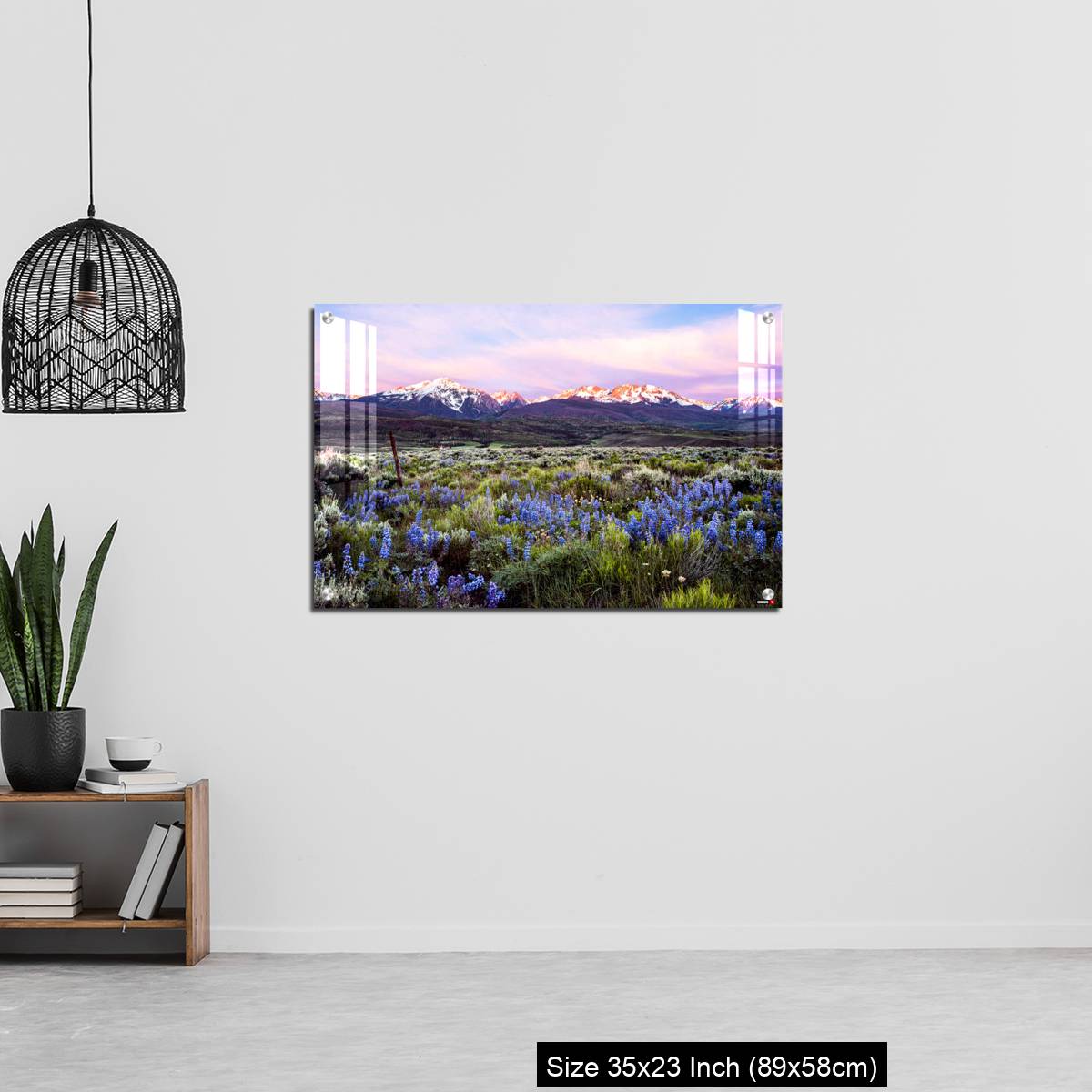 OMGs Acrylic Wall Decor – Colorado wildflowers and the gore range - Image 13