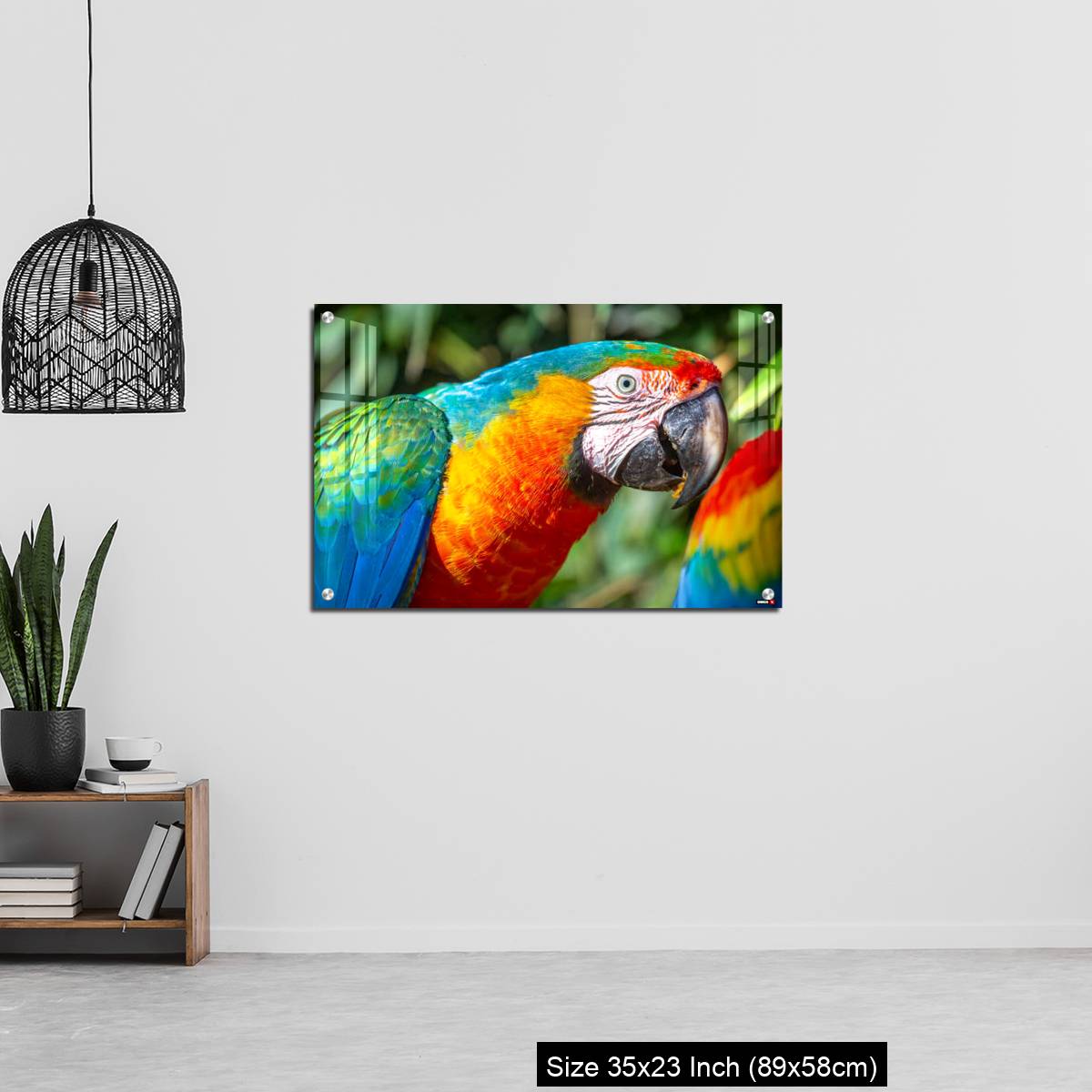 OMGs Acrylic Wall Decor – Colorful Macaw parrot looking at camera in Brazil - Image 13