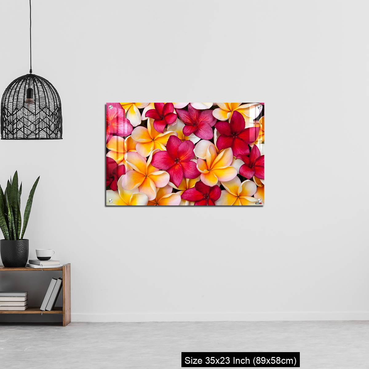 OMGs Acrylic Wall Decor – Colorful Pulmeria (or Frangipani) flowers - Image 13