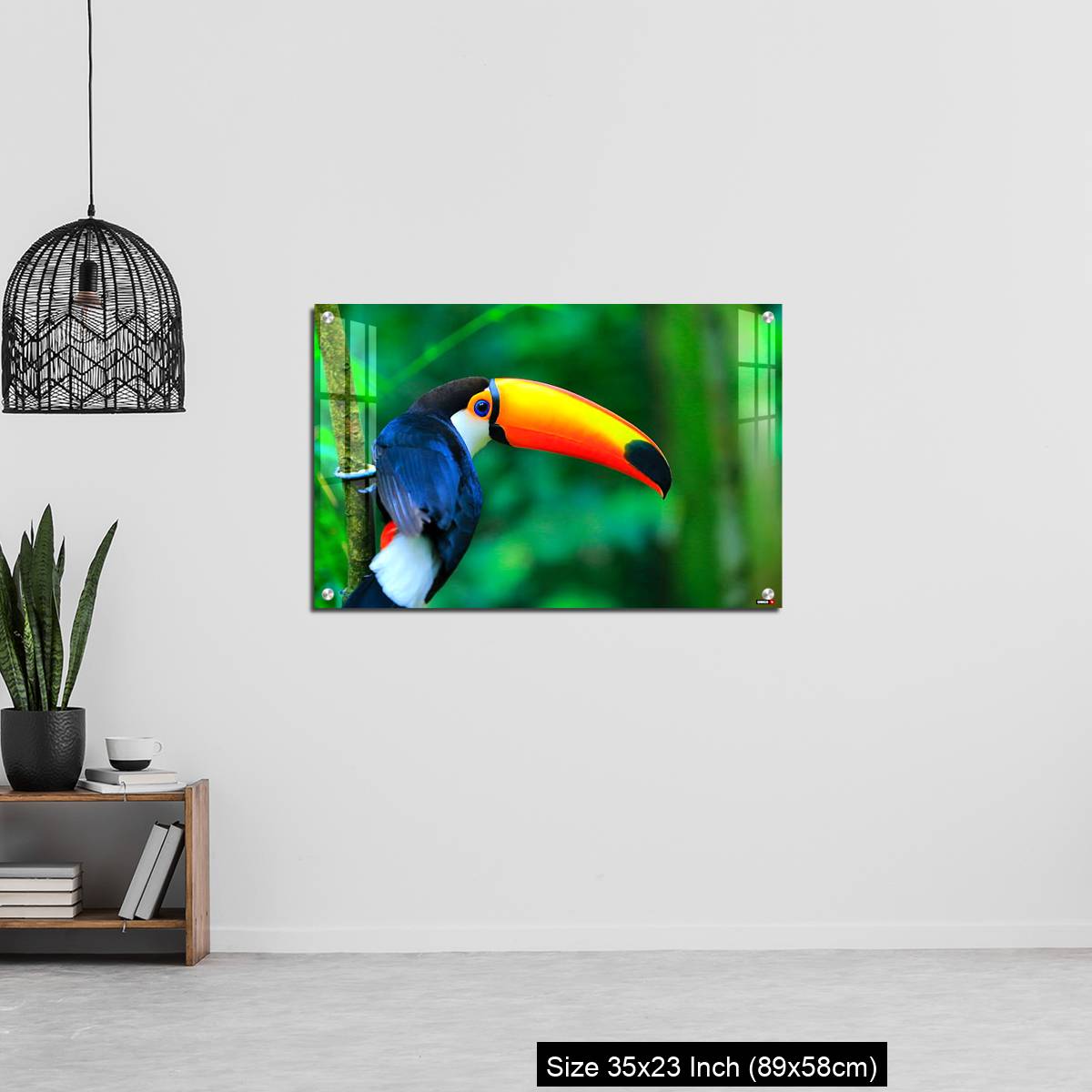 OMGs Acrylic Wall Decor – Colorful cute Toucan tropical bird - Image 13