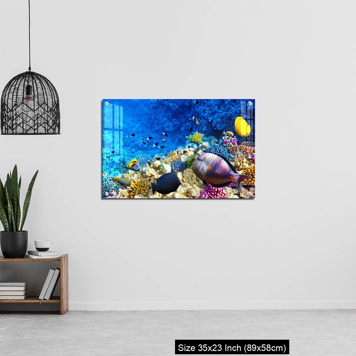 OMGs Acrylic Wall Decor – Coral and fish in the Red Sea. Egypt, Africa. - Image 13