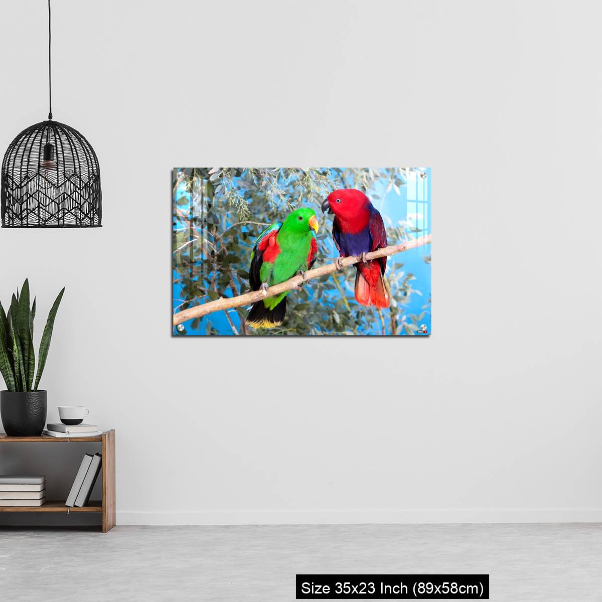 OMGs Acrylic Wall Decor – Eclectus Parrot, eclectus roratus, Pair standing on Branch, Male (green) and Female (Red) - Image 13