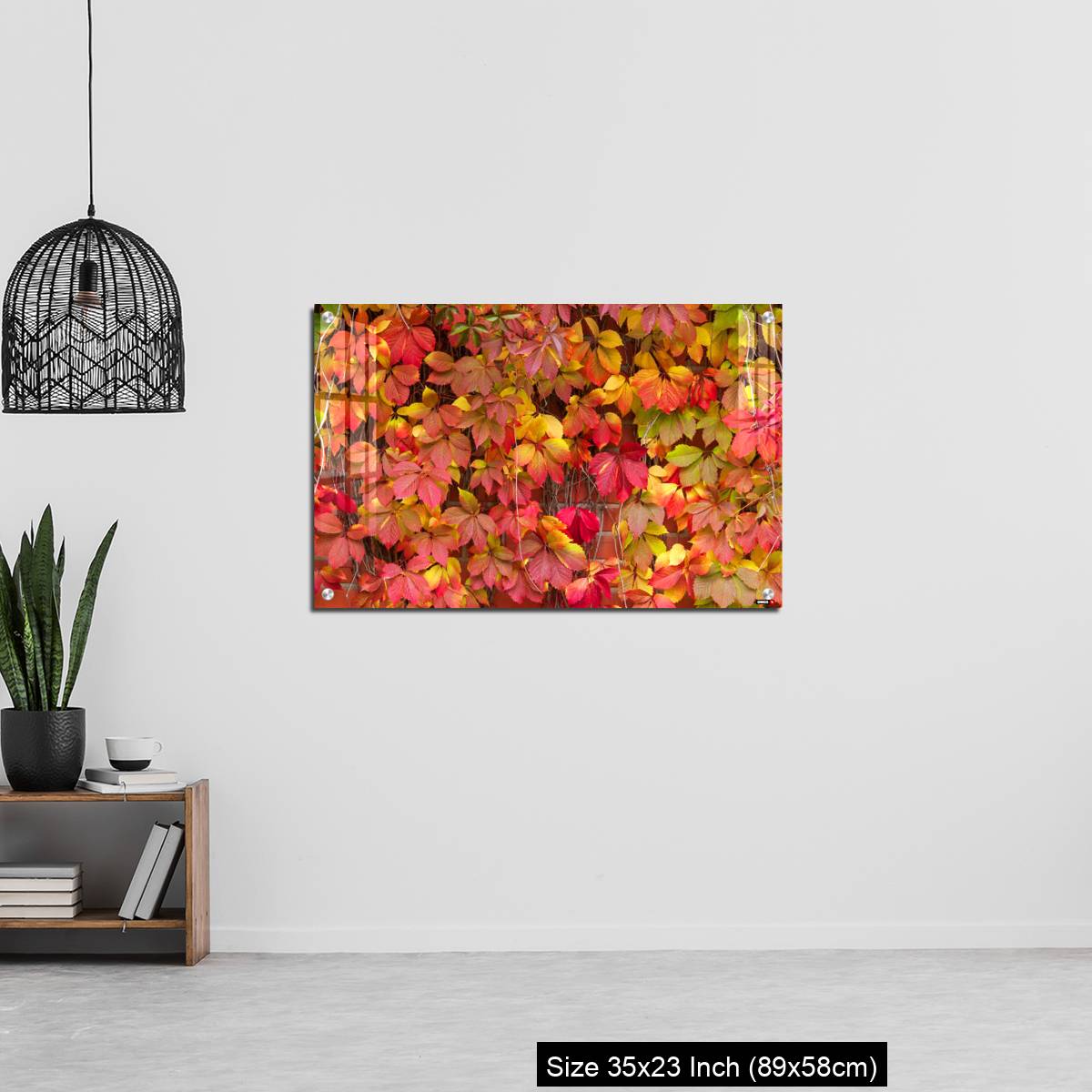 OMGs Acrylic Wall Decor – False Virginia creeper Parthenocissus inserta foliage in autumn colors - Image 13