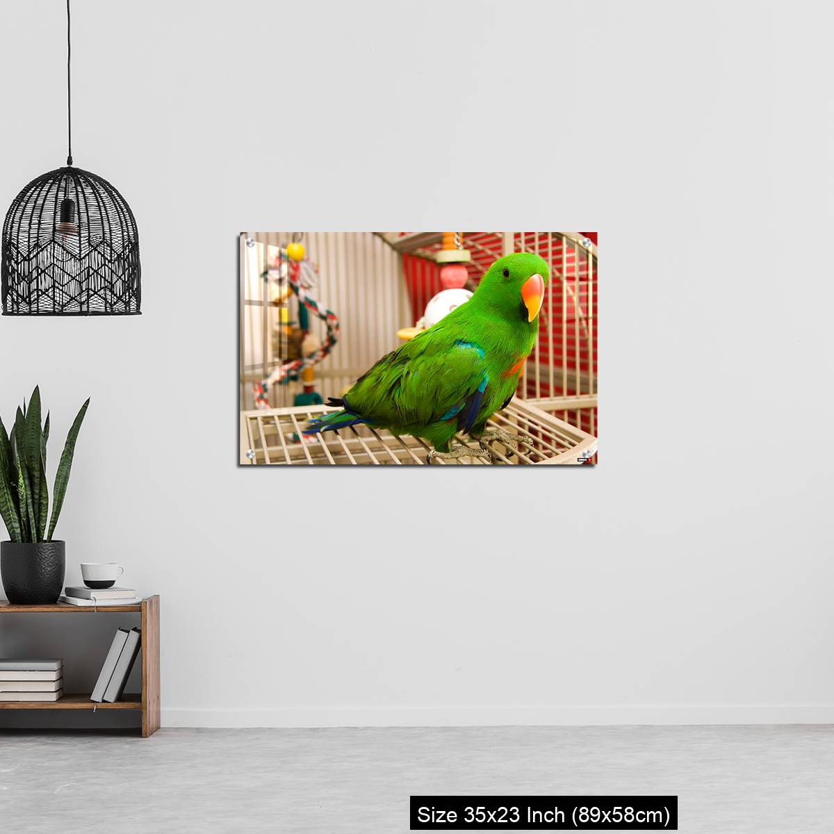 OMGs Acrylic Wall Decor – Green parrot perched on the open door of its cage - Image 13