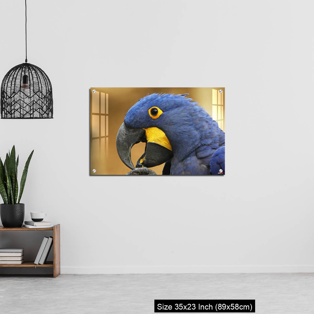 OMGs Acrylic Wall Decor – Hyacinth Macaw, anodorhynchus hyacinthinus, portrait of Adult with open Beak - Image 13
