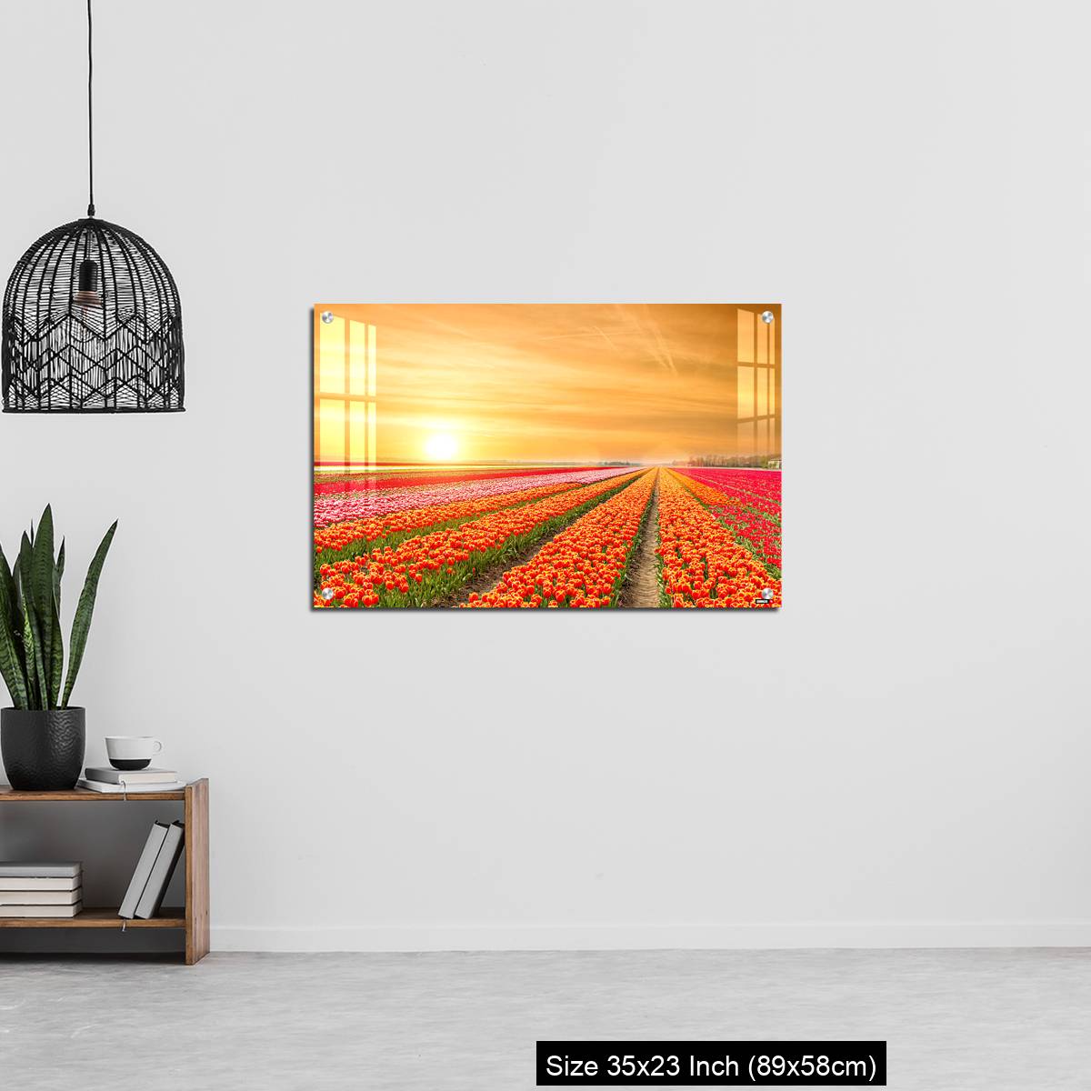OMGs Acrylic Wall Decor – Landscape of Netherlands tulips with sunlight in Netherlands. - Image 13