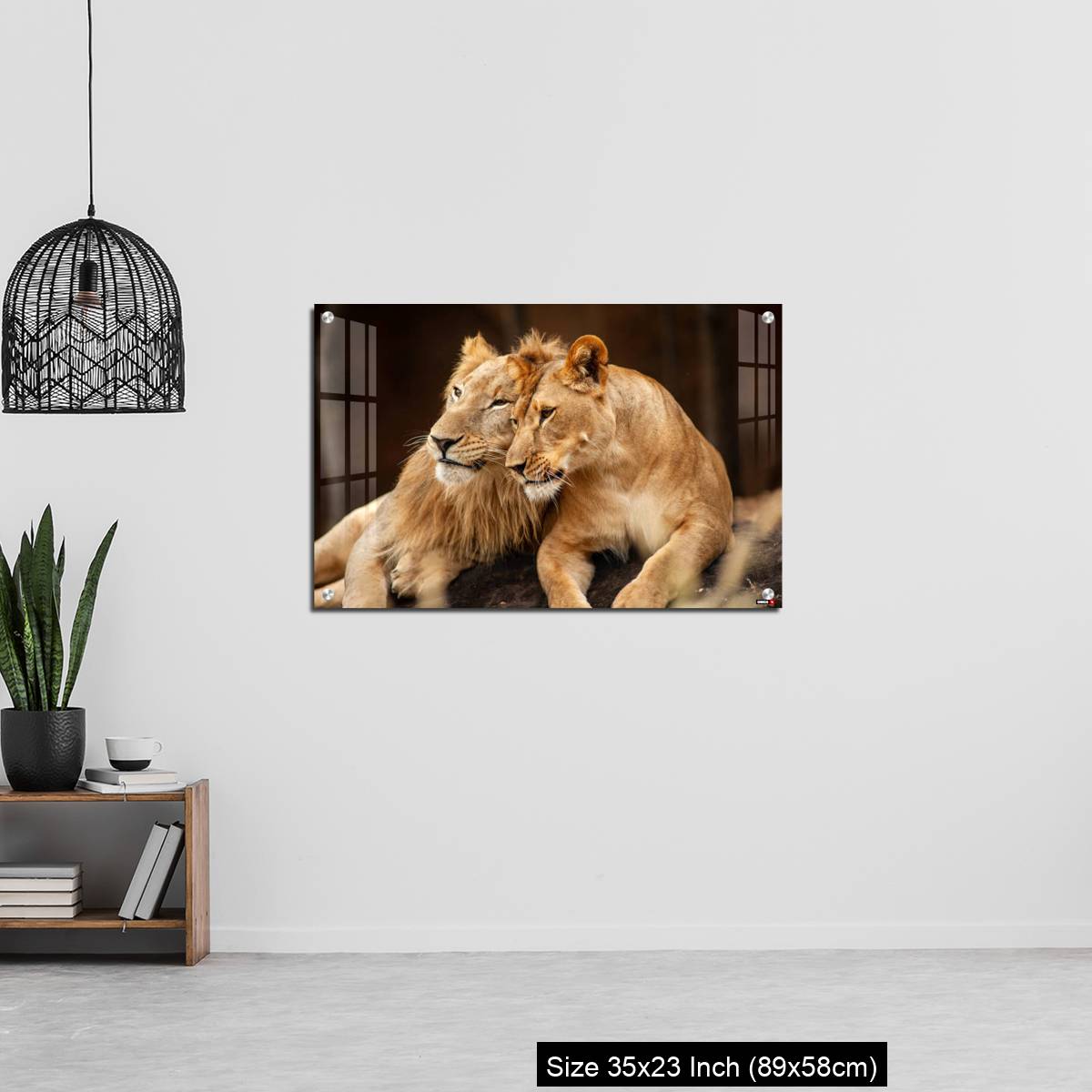 OMGs Acrylic Wall Decor – Male and Female Lions  lying down together on the ground - Image 13