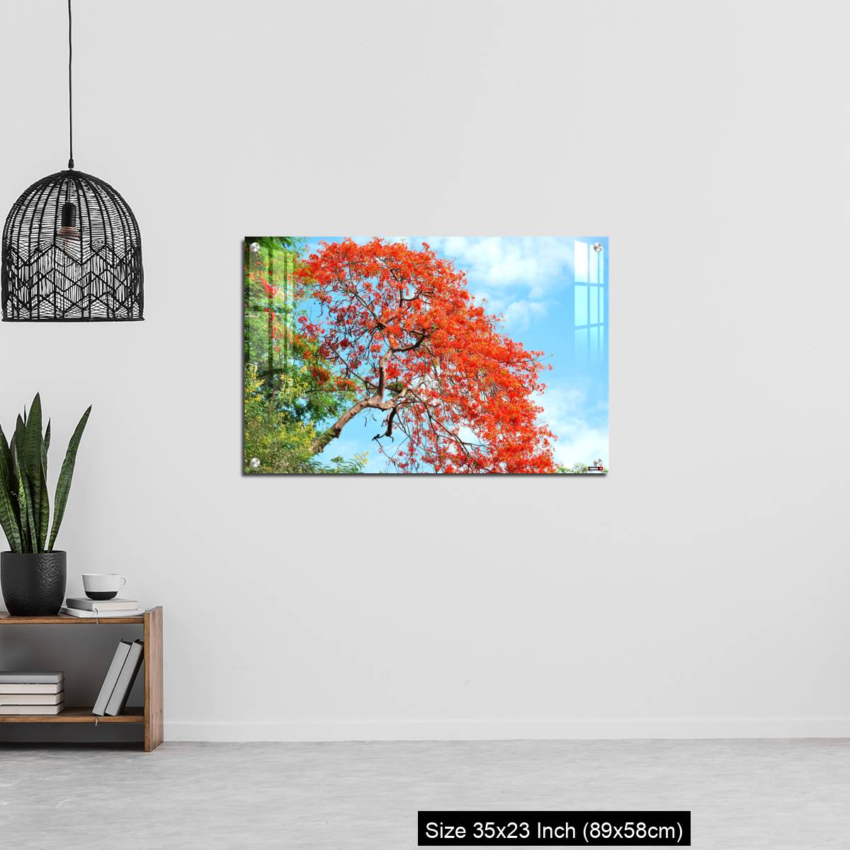 OMGs Acrylic Wall Decor – Gul Mohar tree in full bloom against a bright blue tropical sky in Mumbai, India. - Image 13