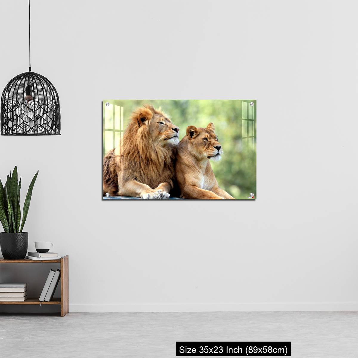 OMGs Acrylic Wall Decor – Pair of adult Lions in zoological garden - Image 13