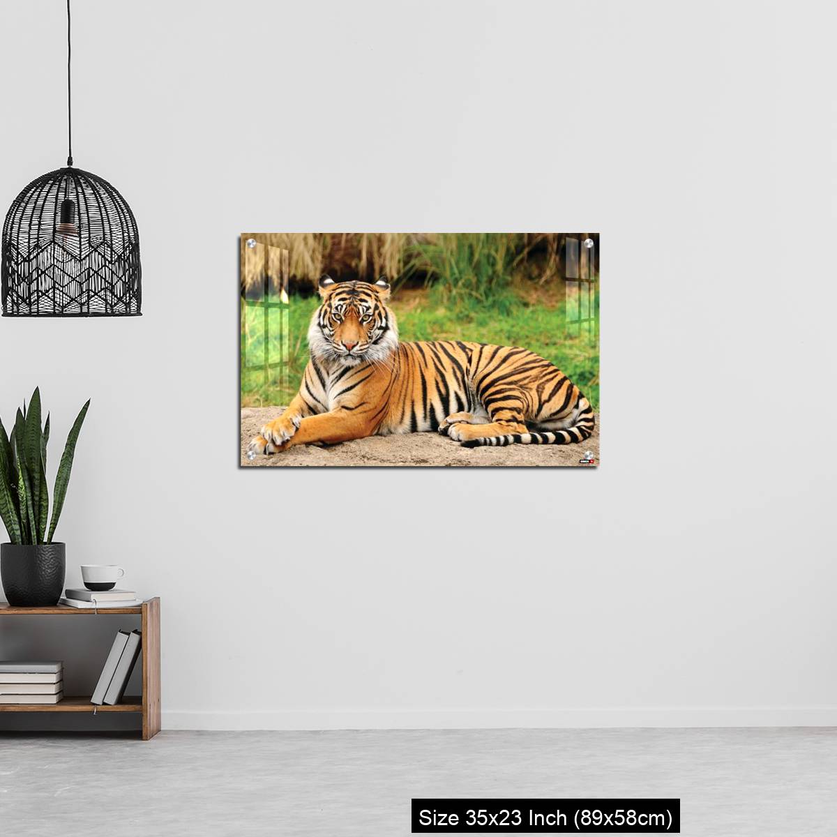 OMGs Acrylic Wall Decor – Royal Bengal Tiger alert and Staring at the Camera - Image 13