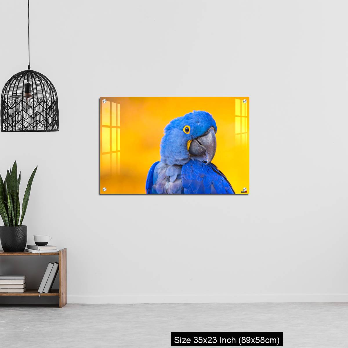 OMGs Acrylic Wall Decor – Portrait of big blue parrot Hyacinth Macaw - Image 13