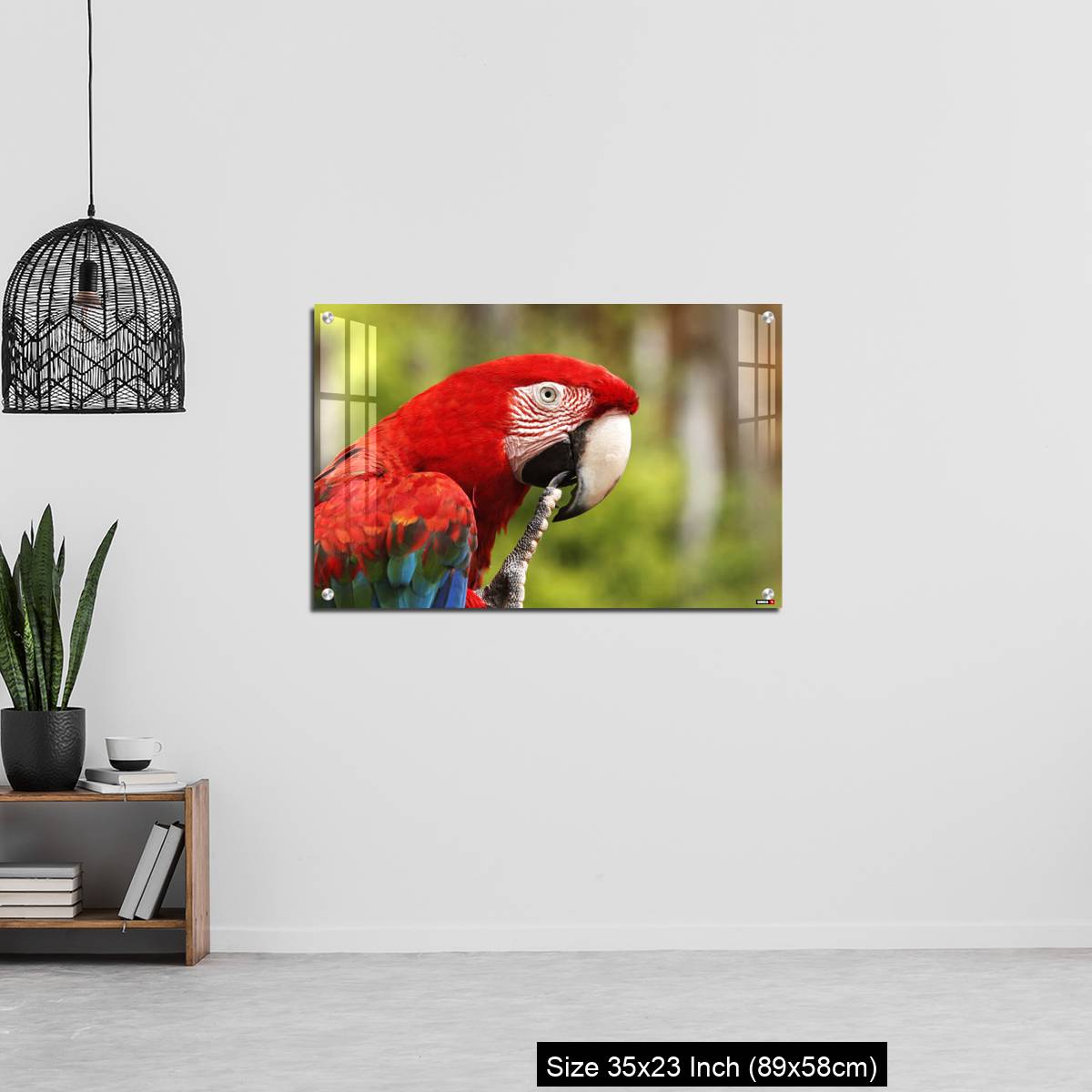 OMGs Acrylic Wall Decor – Red-and-Green Macaw, ara chloroptera, Portrait of Adult - Image 13