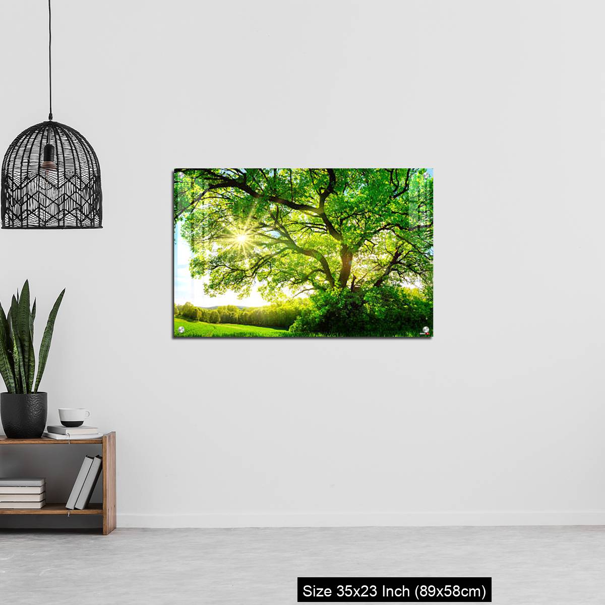 OMGs Acrylic Wall Decor – The sun shining through a majestic oak tree - Image 13