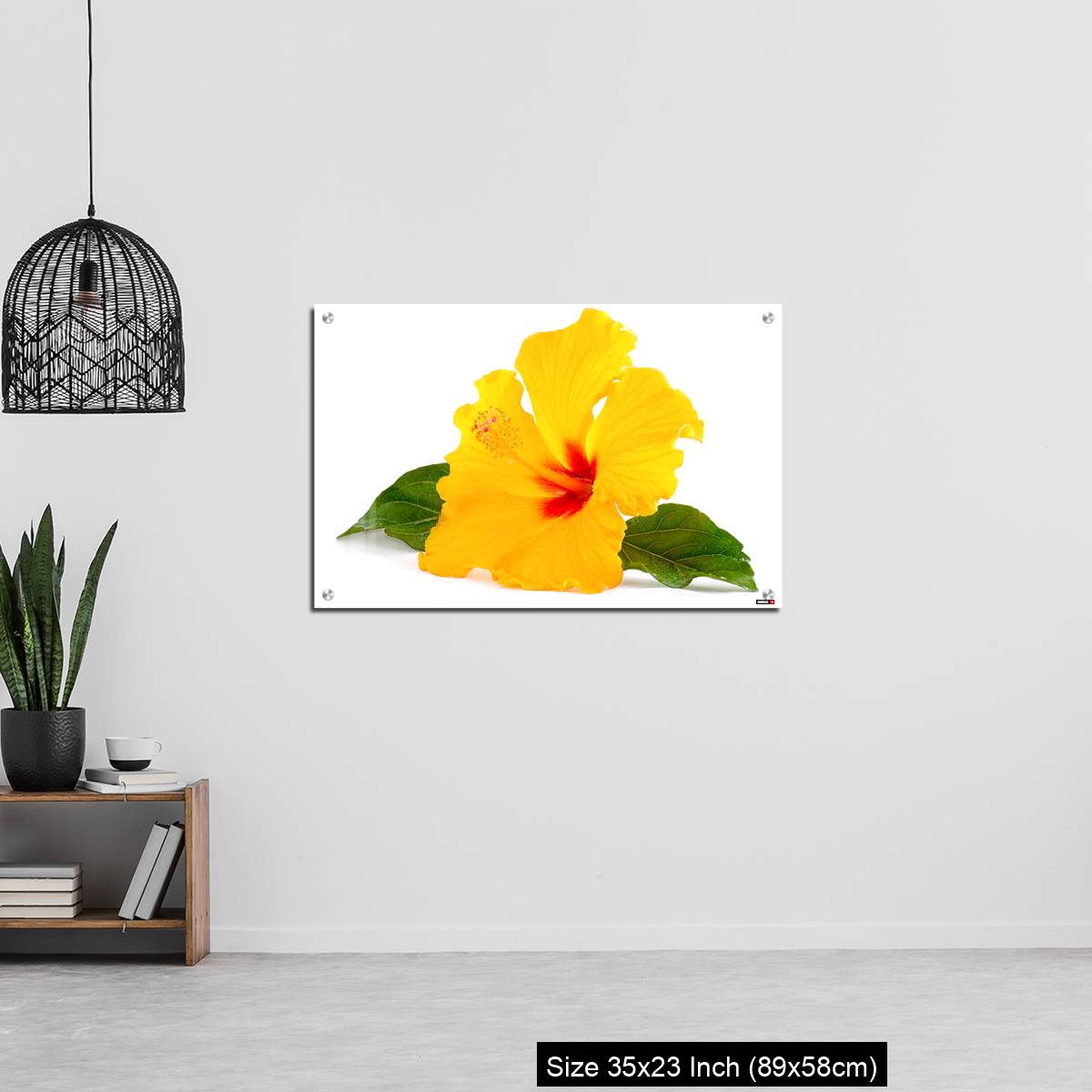 OMGs Acrylic Wall Decor – Tropical Yellow Hibiscus Flower isolated on white - Image 13