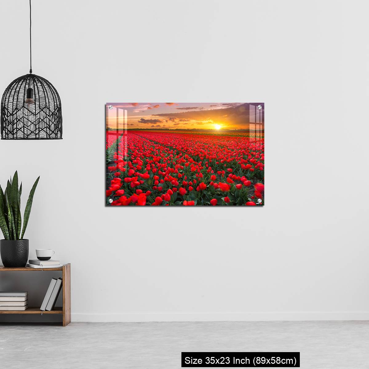OMGs Acrylic Wall Decor – Tulip fields at sunset in the Netherlands - Image 13