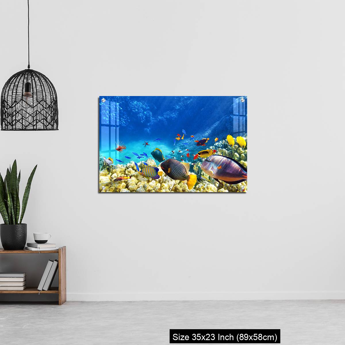 OMGs Acrylic Wall Decor – Underwater world with corals and tropical fish. - Image 13