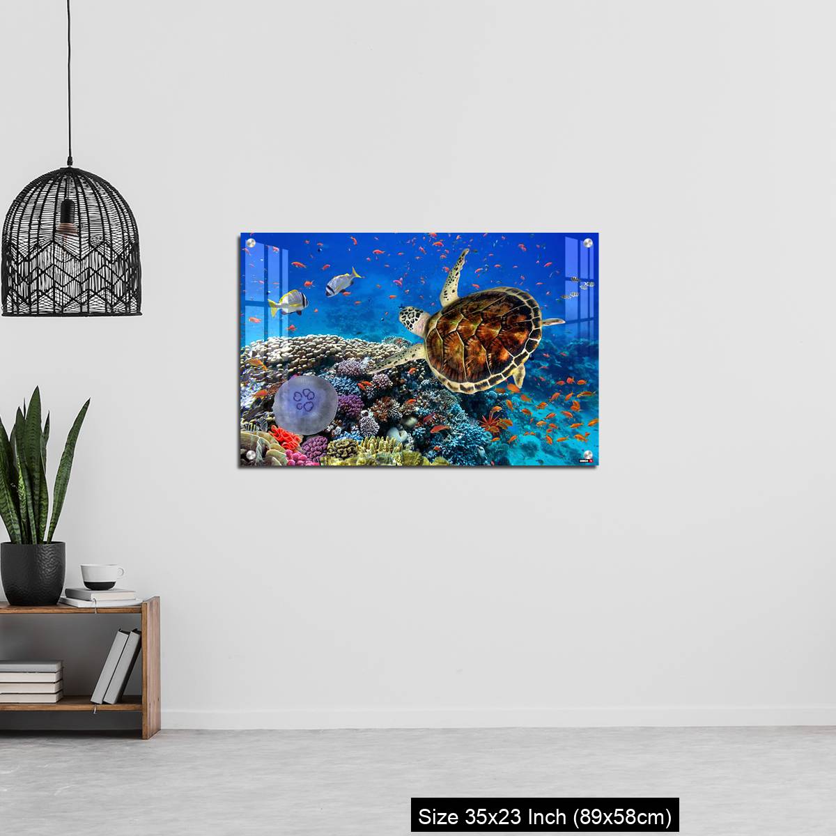 OMGs Acrylic Wall Decor – colorful coral reef with many fishes and sea turtle - Image 13