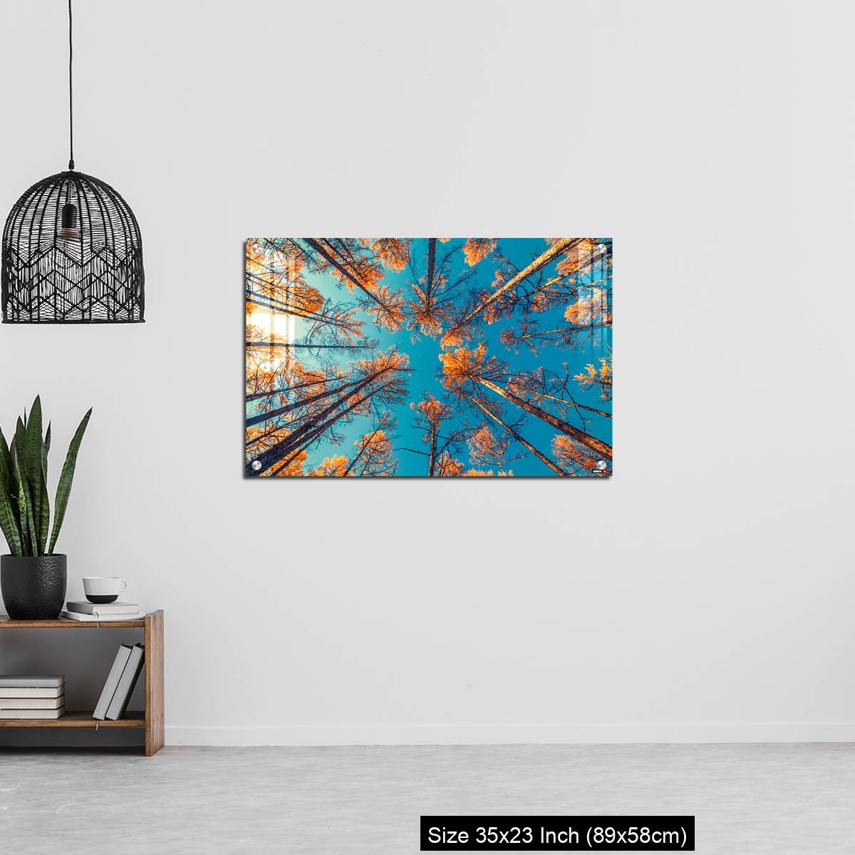OMGs Acrylic Wall Decor – looking up at trees and clear blue sky - Image 13