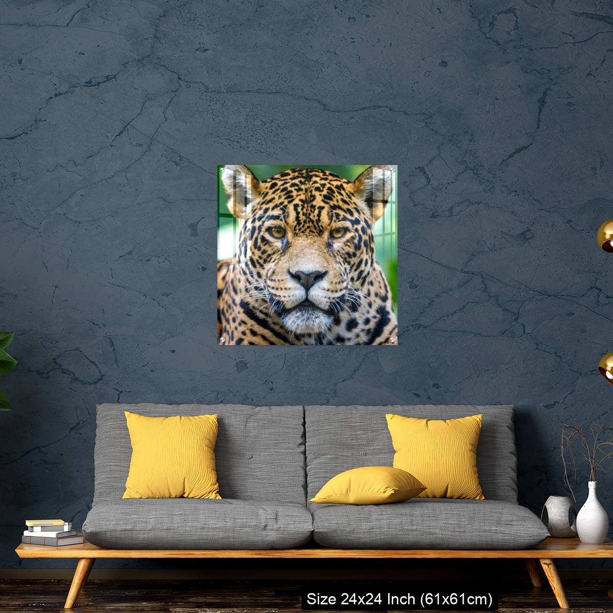 OMGs Acrylic Wall Decor – Jaguar looking at camera - Pantanal wetlands, Brazil - Image 14