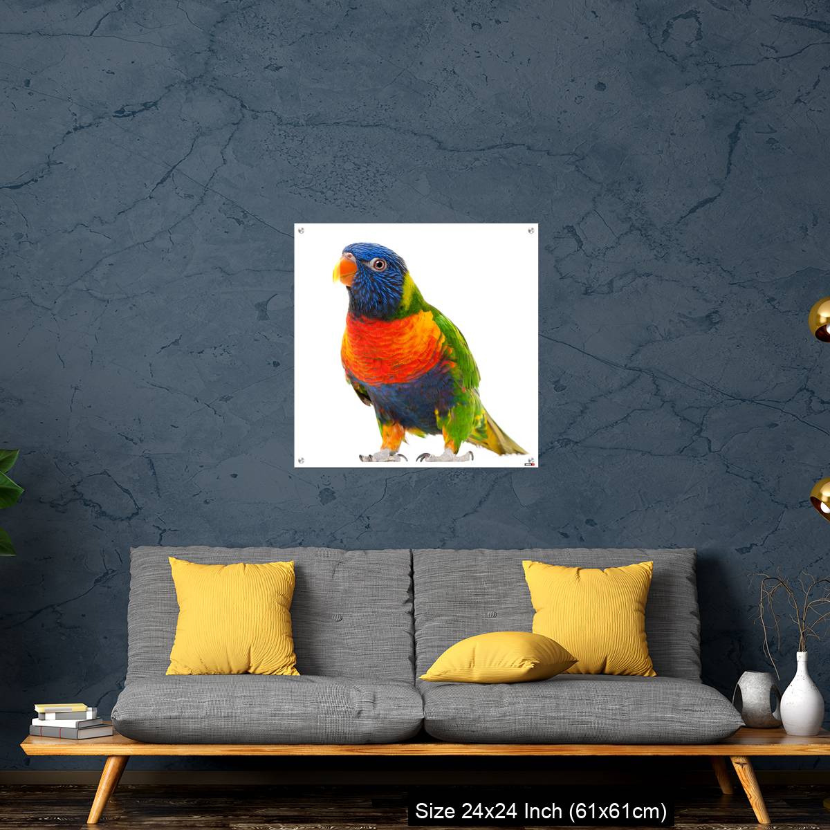 OMGs Acrylic Wall Decor – Rainbow Lorikeet, Trichoglossus haematodus - Image 14