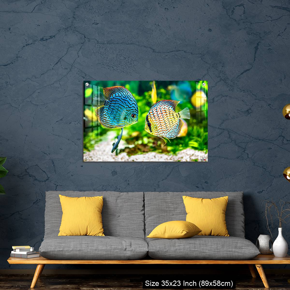 OMGs Acrylic Wall Decor – Aquarium displaying two tropical fish symphsodon discus - Image 14