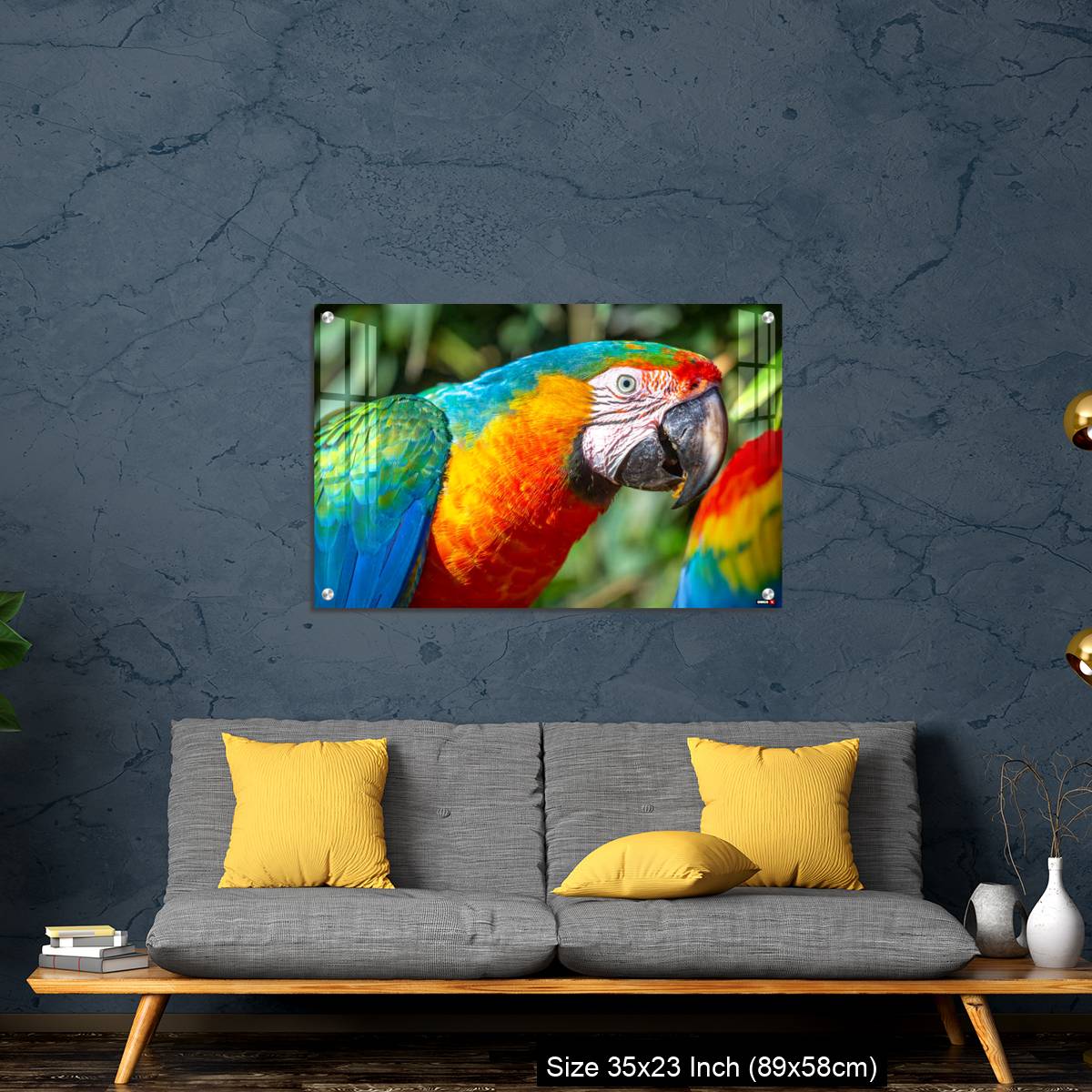 OMGs Acrylic Wall Decor – Colorful Macaw parrot looking at camera in Brazil - Image 14