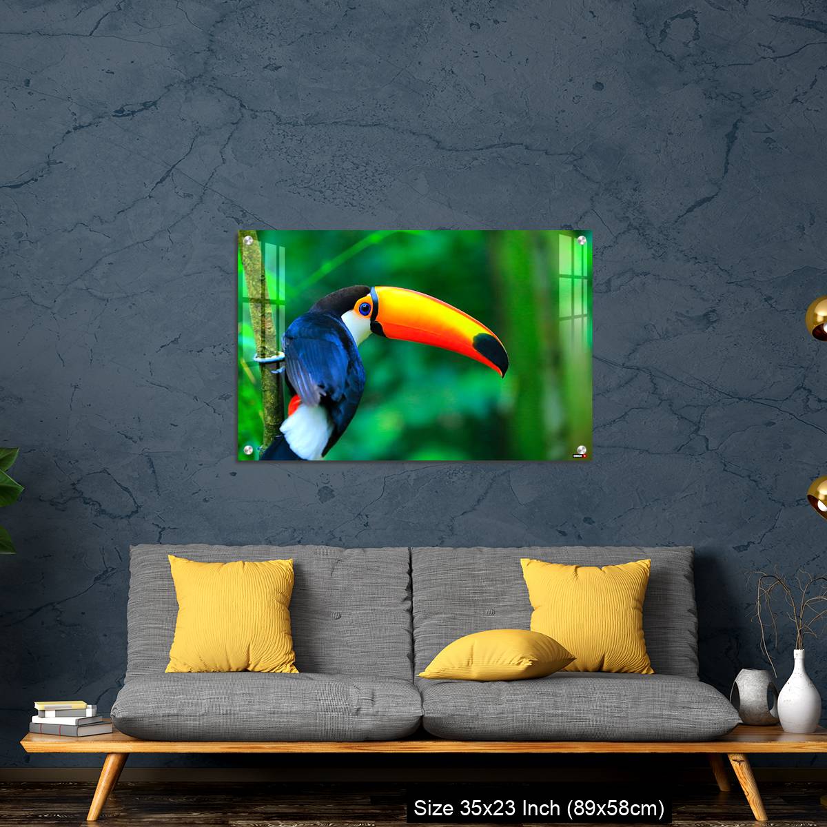 OMGs Acrylic Wall Decor – Colorful cute Toucan tropical bird - Image 14