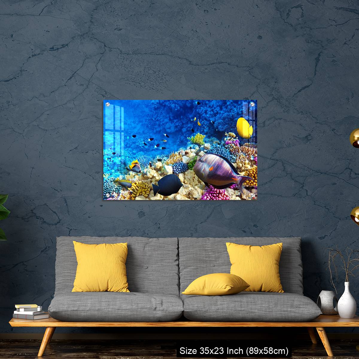 OMGs Acrylic Wall Decor – Coral and fish in the Red Sea. Egypt, Africa. - Image 14