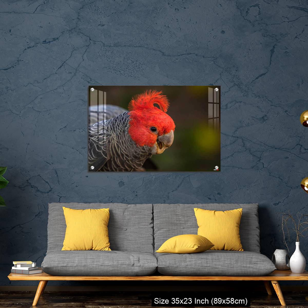 OMGs Acrylic Wall Decor – Gang-gang Cockatoo male eating food in a garden - Image 14