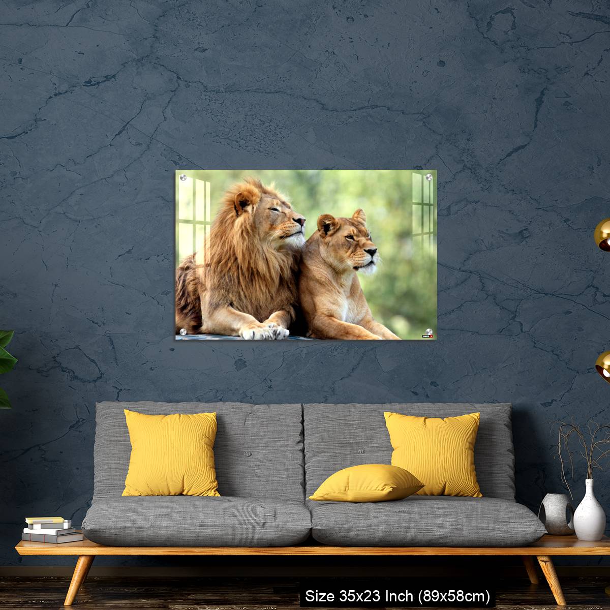 OMGs Acrylic Wall Decor – Pair of adult Lions in zoological garden - Image 14